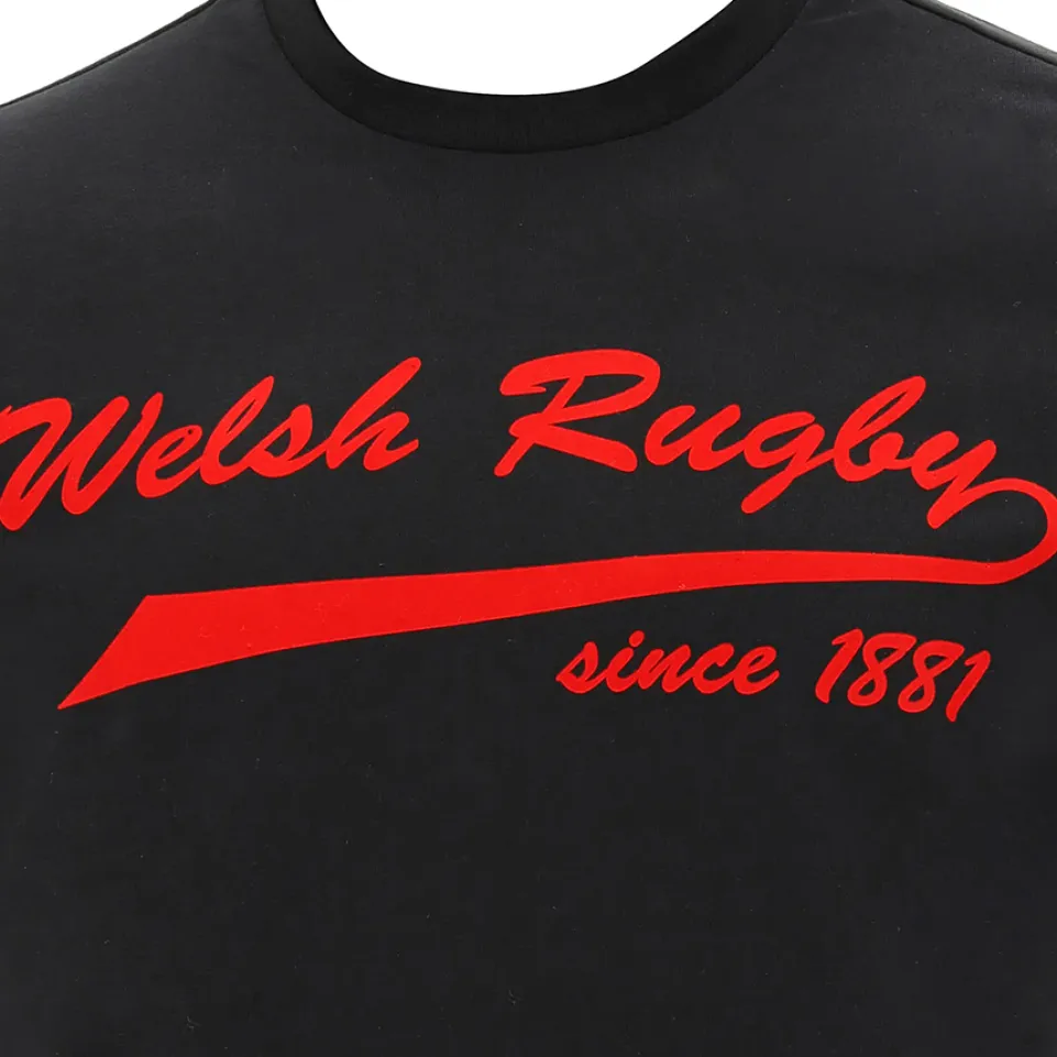 Wales WRU macron Rugby Herren T-Shirt 58195706