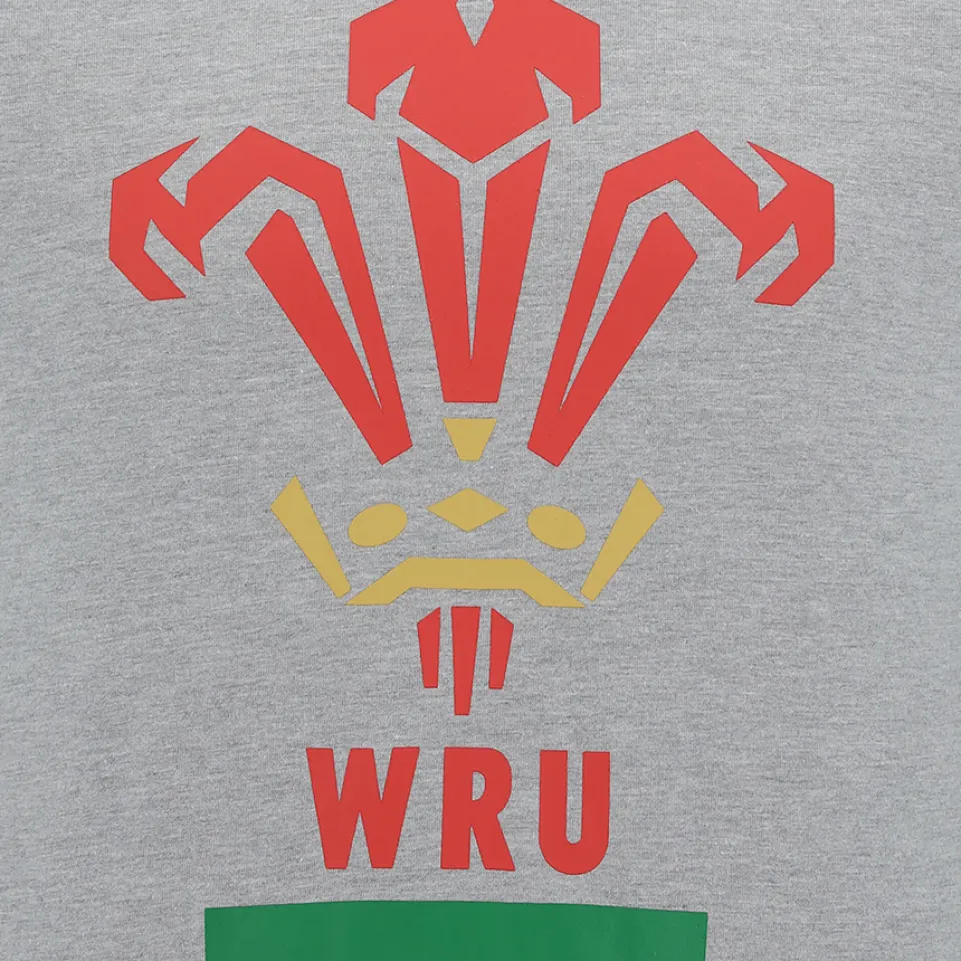 Wales WRU macron Rugby Herren T-Shirt 58195700