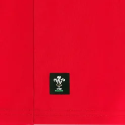 Wales WRU macron Rugby Kinder Trainings Trikot 58140002