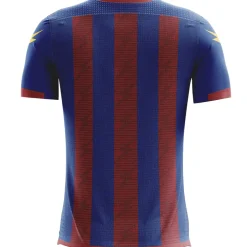 Zeus Icon Teamwear Set Trikot mit Shorts royal dunkelrot